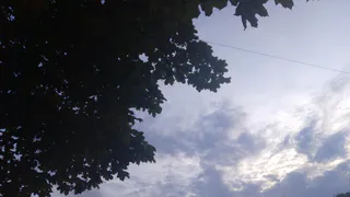 29 июля в Рязанской области ожидается гроза и до +26