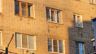 Жители Рязани заметили застрявшего в окне кота