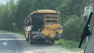 Под Рязанью столкнулись грузовик и школьный автобус
