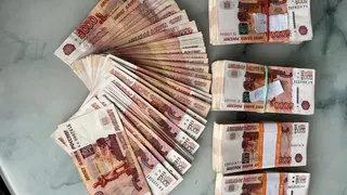 Ирину Петину подозревают в краже у роддомов и женских консультаций в Рязани