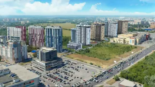Полиция вскрыла крупную сеть наркоплантаций в Рязани и области