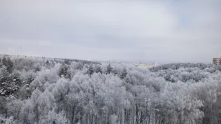 15 февраля в Рязанской области ожидается снежная погода и похолодание до -15