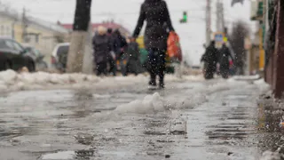 15 марта в Рязанской области ожидается сильный ветер и +8