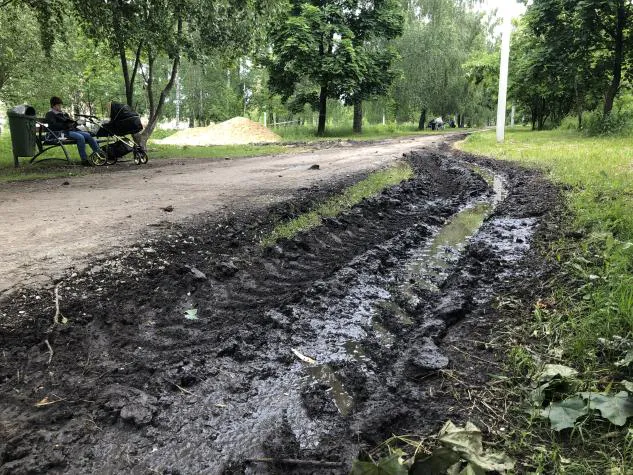 Благоустройство Комсомольского парка: авторская колонка местного жителя