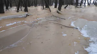 Житель Рязани опубликовал фото замёрзшей после разлива реки в Солотче