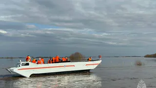 Четыре утонувших за месяц: где в Рязанской области купаться нельзя ни в коем случае