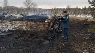 В Рязанской области после обращений очевидцев возбудили 13 уголовных дел