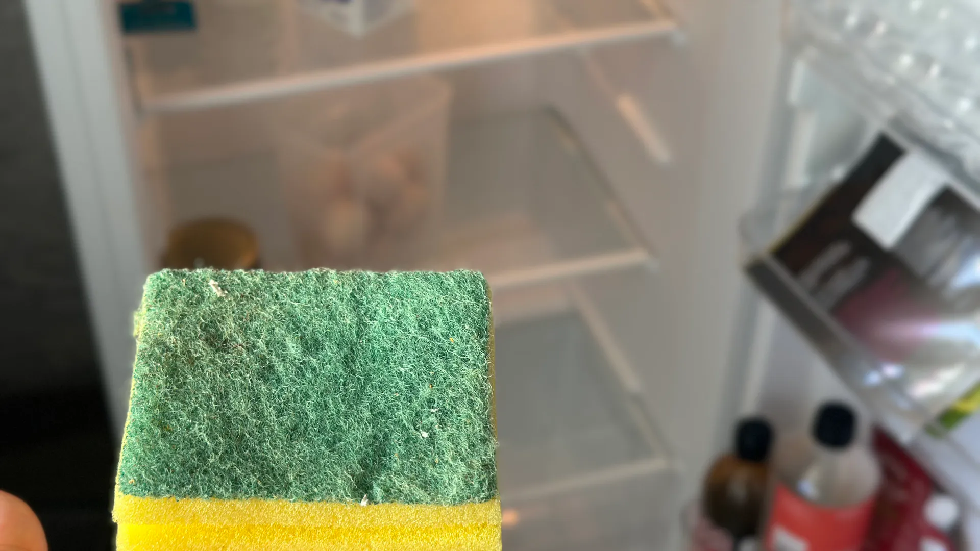 Положите губку в холодильник: продукты перестанут портиться - странный, но рабочий трюк