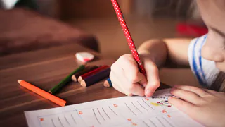 Бесплатные кружки для школьников - появился сайт с полной информацией