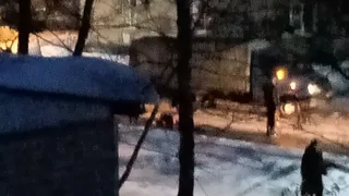 На улице Трудовой женщина попала под колеса автомобиля