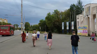 В Рязани комаров этим летом будет меньше