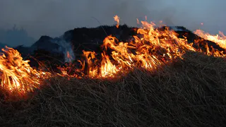 МЧС Рязанской области предупредило о высокой пожарной опасности