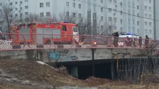 В Рязани женщина едва не упала с Горбатого моста