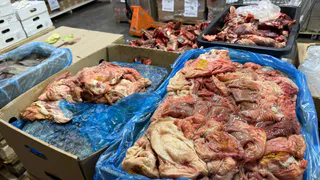  В кафе Рязанской области готовили из мяса неизвестного происхождения