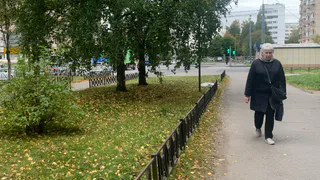 Уже с ноября 2024 пенсии начнут приходить в другое время. Как все будет