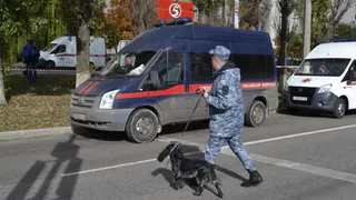 Сквозняк выдал похитителя инструмента у рязанского дедушки