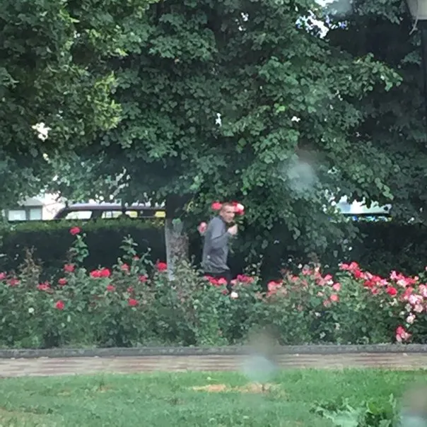 В центре Рязани парень испортил клумбу с цветами