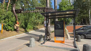 Тропу с «ожившим» Паустовским показали рязанцам в Солотче