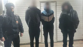 В Рязани трое подростков хотели украсть 75 метров алюминиевого кабеля из магазина
