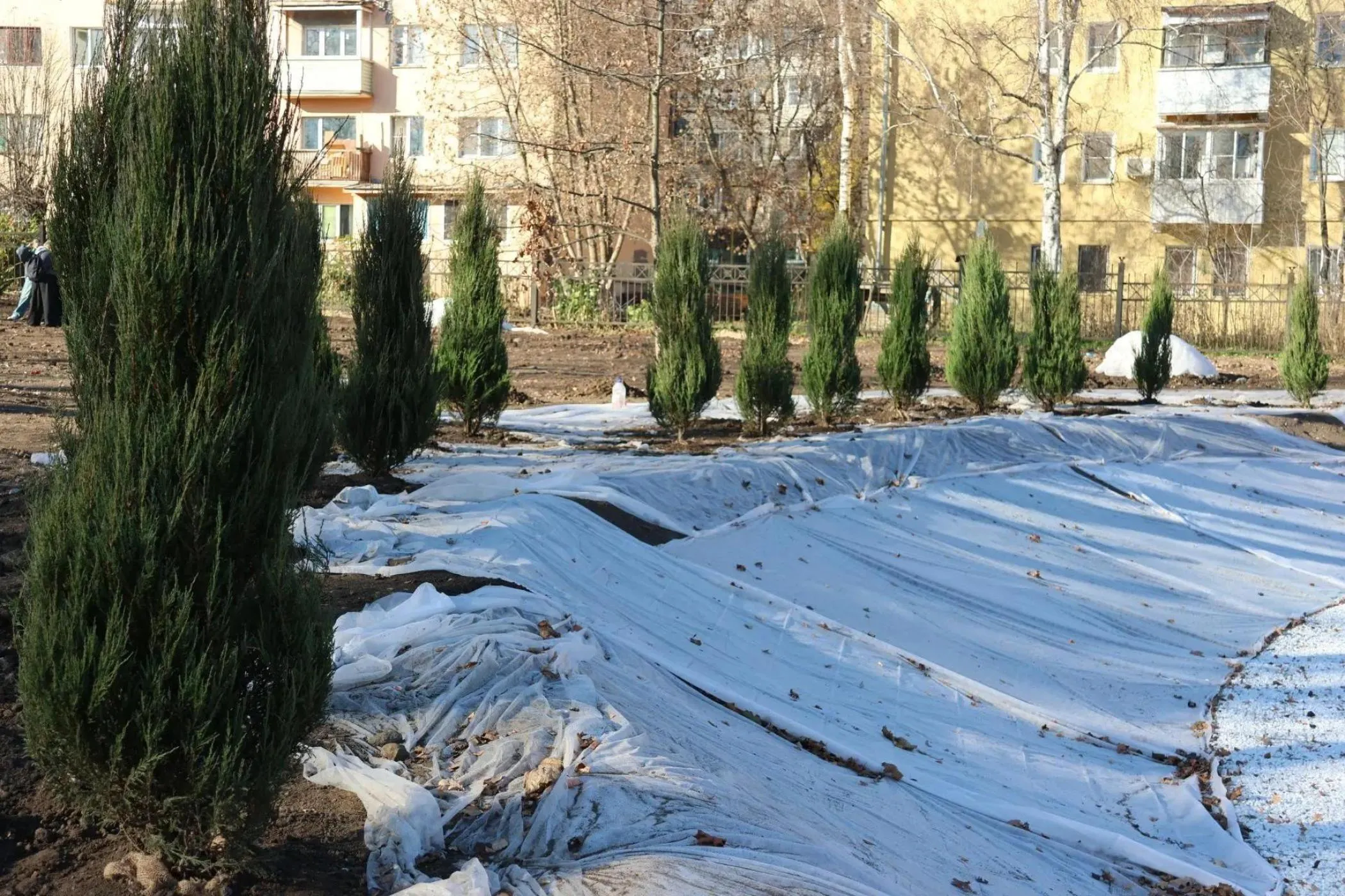 В ЦПКиО Рязани высадили больше тысячи деревьев и кустарников