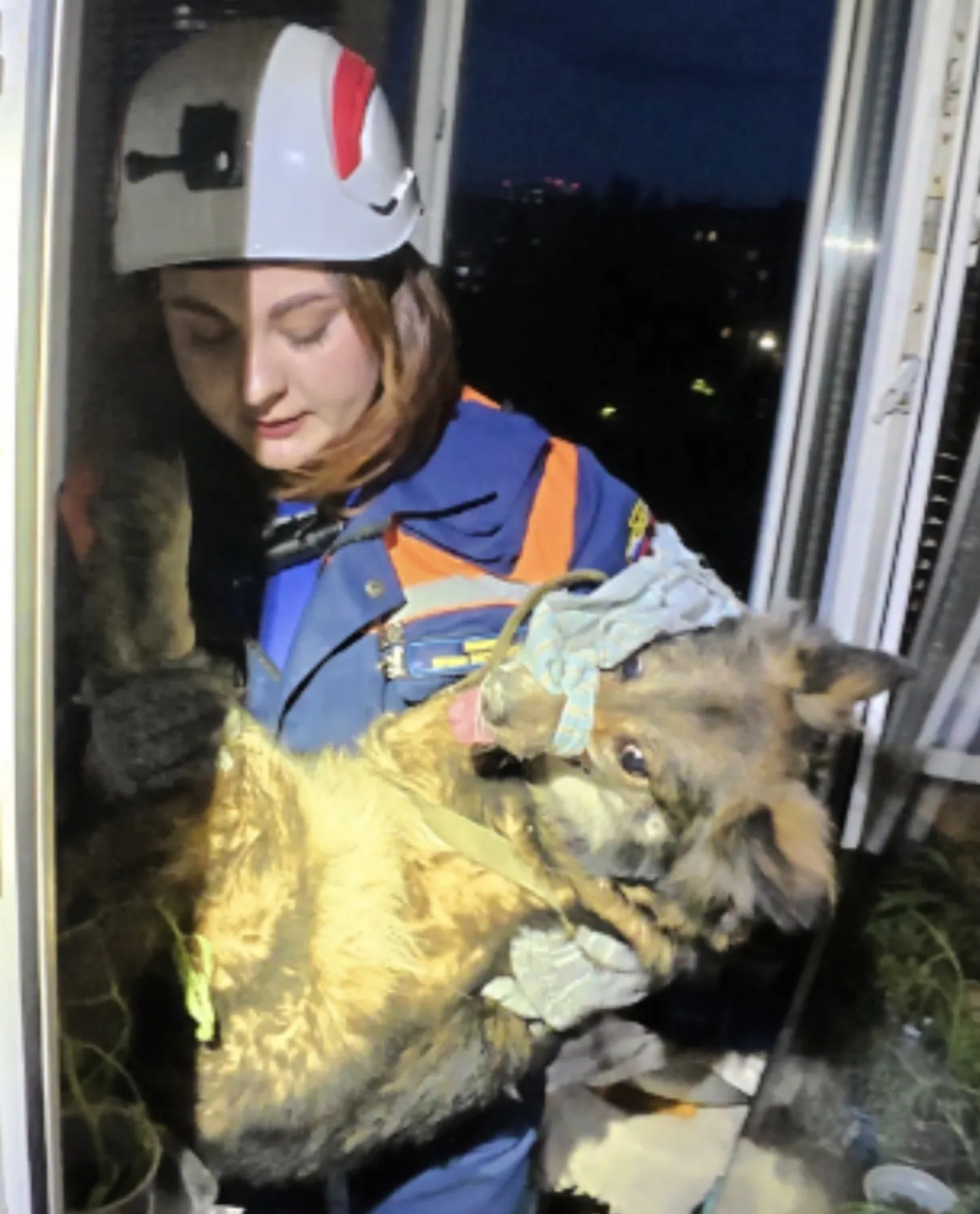11 дней под завалами: в Рязани спасли собаку семьи, которая погибла после атаки БПЛА
