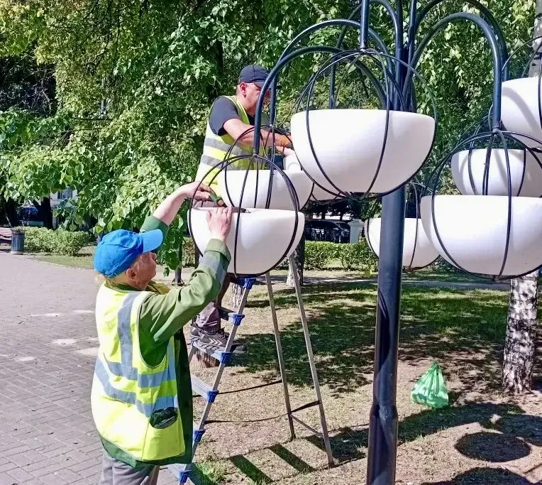 Улицу Вокзальную в Рязани украсят экзотическими цветами