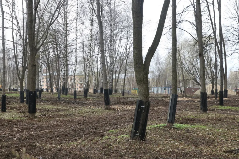 «Лысый пустырь с горками»: зачем в ЦПКиО Рязани вырубили деревья и построят камеры с биометрией
