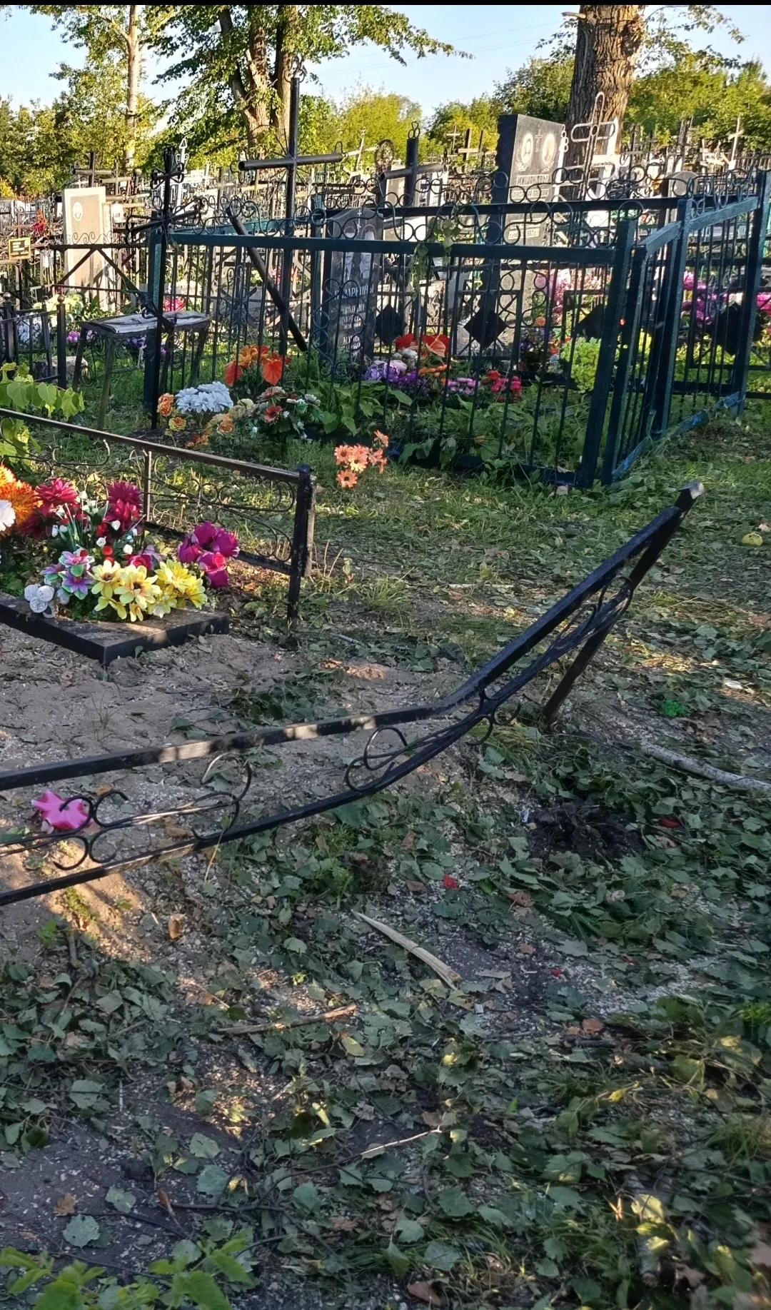 «Сломаем — построим»: жители Шацкого района три месяца жалуются на варварский спил деревьев на кладбище