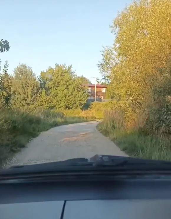 «Яма на яме»: жители Рязанской области устали ждать ремонта дорог, который обещали ещё в апреле