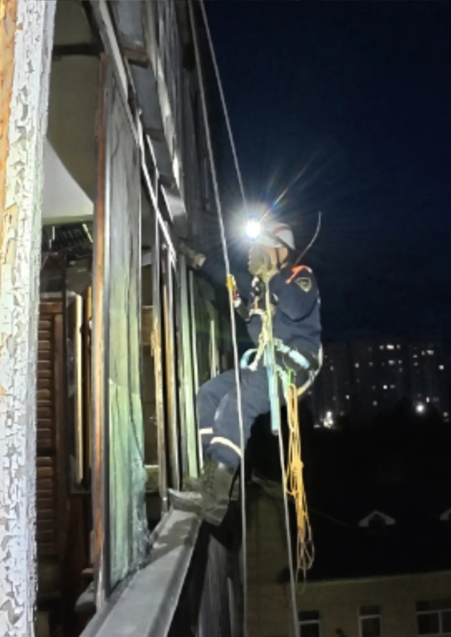 11 дней под завалами: в Рязани спасли собаку семьи, которая погибла после атаки БПЛА